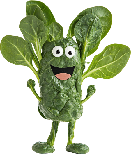 arctorna-online-e-vitamin